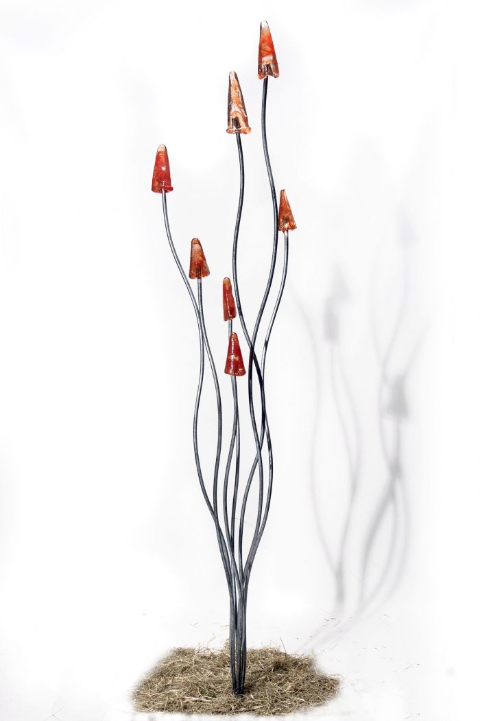 RED HOT POKER